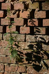 Full frame shot of brick wall