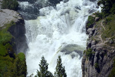 Scenic view of waterfall in forest