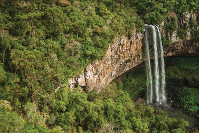 Caracol waterfall falling from rocky cliff in a canyon covered by forest near canela, brazil.