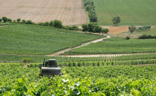 agriculture