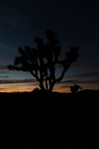 Silhouette trees on field against sky at sunset