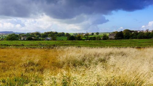 Scenic view of field against cloudy sky