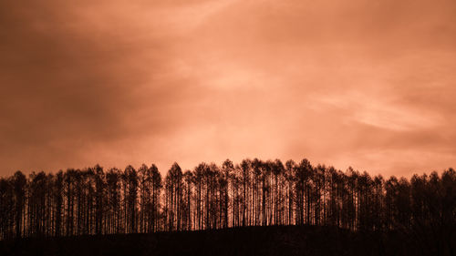 Silhouette trees on field against sky at sunset