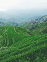 Scenic view of rural landscape