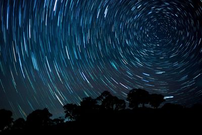 Low angle view of silhouette trees against sky at night