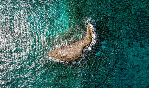 High angle view of sea waves