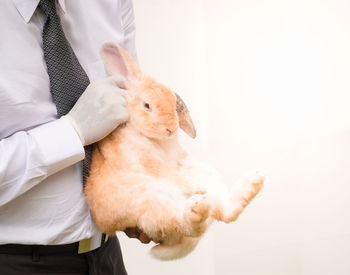 Midsection of man holding white while standing against wall