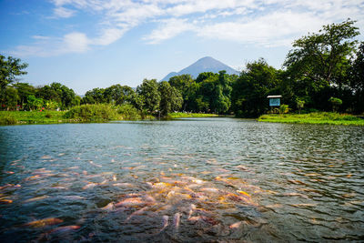 Scenic view of lake against sky