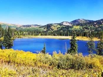 Scenic view of lake and trees against blue sky