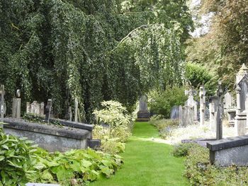Statue against trees and plants