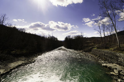 Scenic view of river amidst trees against sky