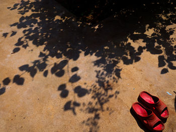 High angle view of shoes on sand