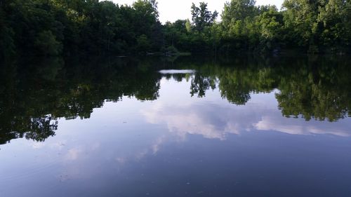 Reflection of trees in calm lake