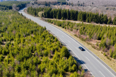 High angle view of road amidst trees in forest