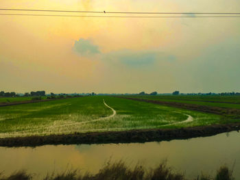 Scenic view of field against sky during sunset