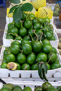 Close-up of fruits for sale at market stall