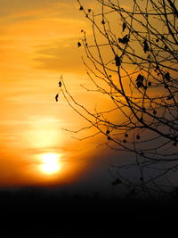 Silhouette tree against sky during sunset