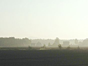 Scenic view of field against clear sky