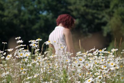 Rear view of woman with yellow flowers on field