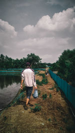 Rear view of man standing by plants against sky