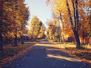 Road amidst trees in forest during autumn