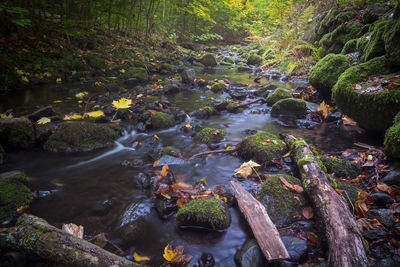 Stream flowing through rocks in forest