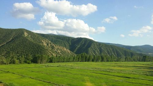 Scenic view of field against sky