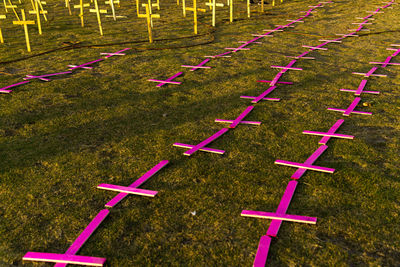 Crosses fixed to the ground in honor of those killed by covid-19. 