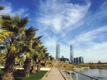 Palm trees and buildings against clear sky