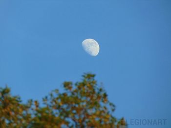 Low angle view of moon against clear blue sky