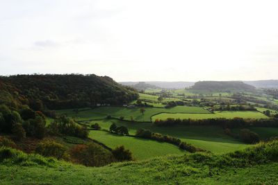 Scenic view of grassy field against sky