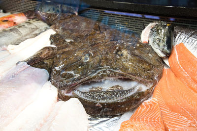 High angle view of fish for sale at market