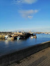 Sailboats moored at harbor against blue sky