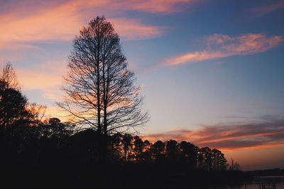 Silhouette trees against sky during sunset