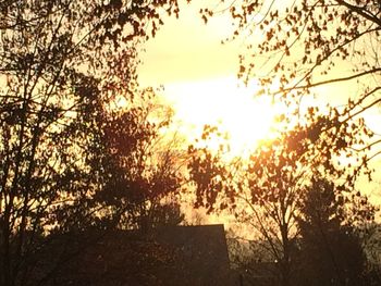 Silhouette trees against sky during sunset