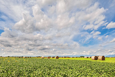 Hay bales on field against sky