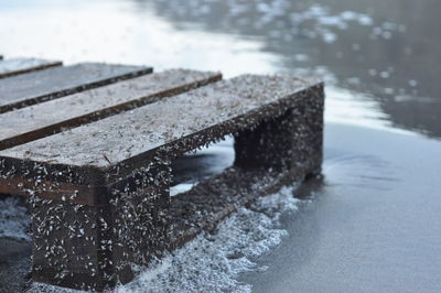 Wooden pallet on the shore of a beach