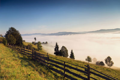 Scenic view of field against clear sky