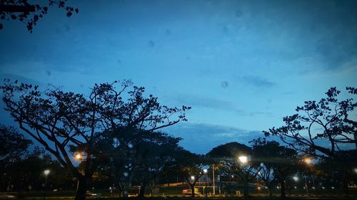 View of illuminated street lights at night