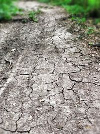 High angle view of cracked field