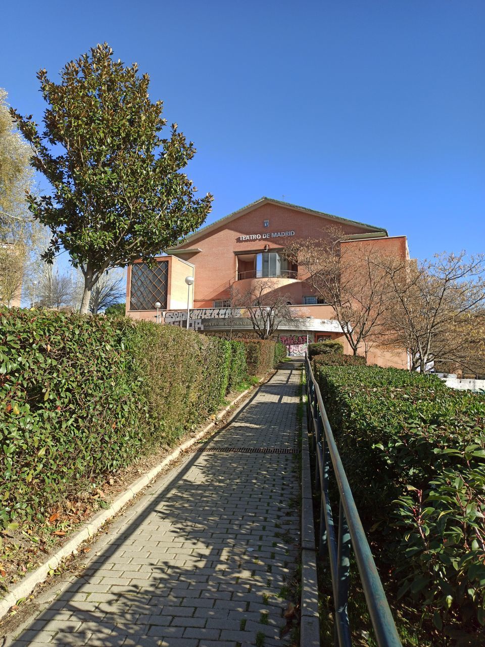 FOOTPATH AMIDST TREES AND HOUSES AGAINST SKY