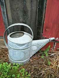 Close-up of old plant