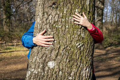 Young couple is hugging a large oak tree. the couple is hiding behind the tree and kissing.