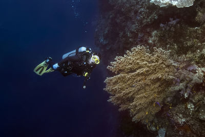 Portrait of senior woman diving undersea