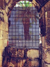 Close-up of window of building