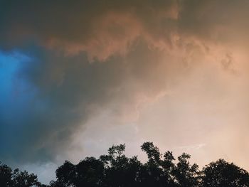 Low angle view of trees against dramatic sky