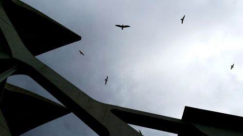 Low angle view of birds flying against sky