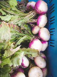 High angle view of vegetables for sale in market