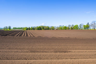 Scenic view of field against blue sky