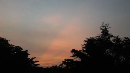 Low angle view of silhouette trees against sky during sunset